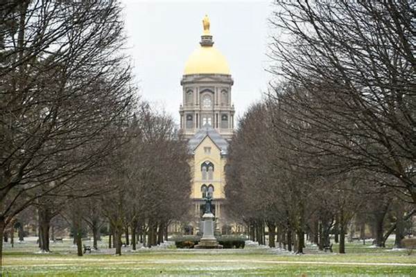 王者荣耀达摩双大修复了么-王者荣耀体验服更新，镜被加强、廉颇重做，